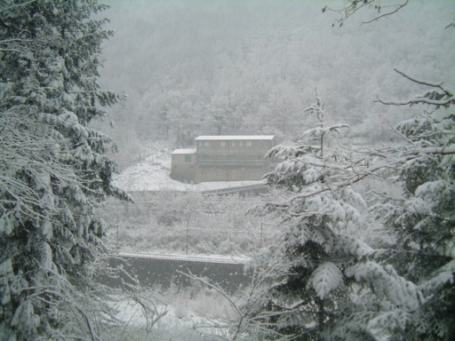  Image name: DSCF5070.JPG 
 width: 512 pixel 
 height: 384 pixel 
 Size: 62496 bytes 
 Click to enlarge 